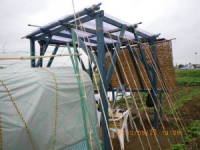 �l���k����